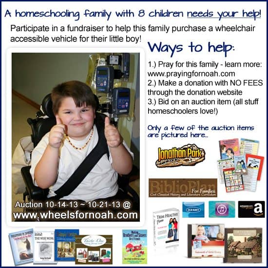 Homeschooling Family Fundraiser for a Wheelchair Accessible Vehicle