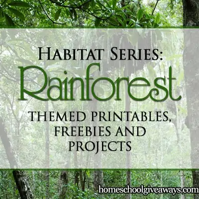 Rainforesthabitat