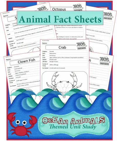 Ocean-Animal-Fast-Fact-Files