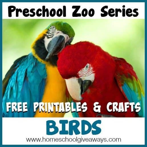 Preschool Zoo Series FREE Printables and Crafts: Birds