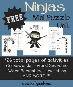 FREE Ninjas Mini Puzzle Unit