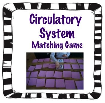 FREE Circulatory System ‘Concentration’ Game
