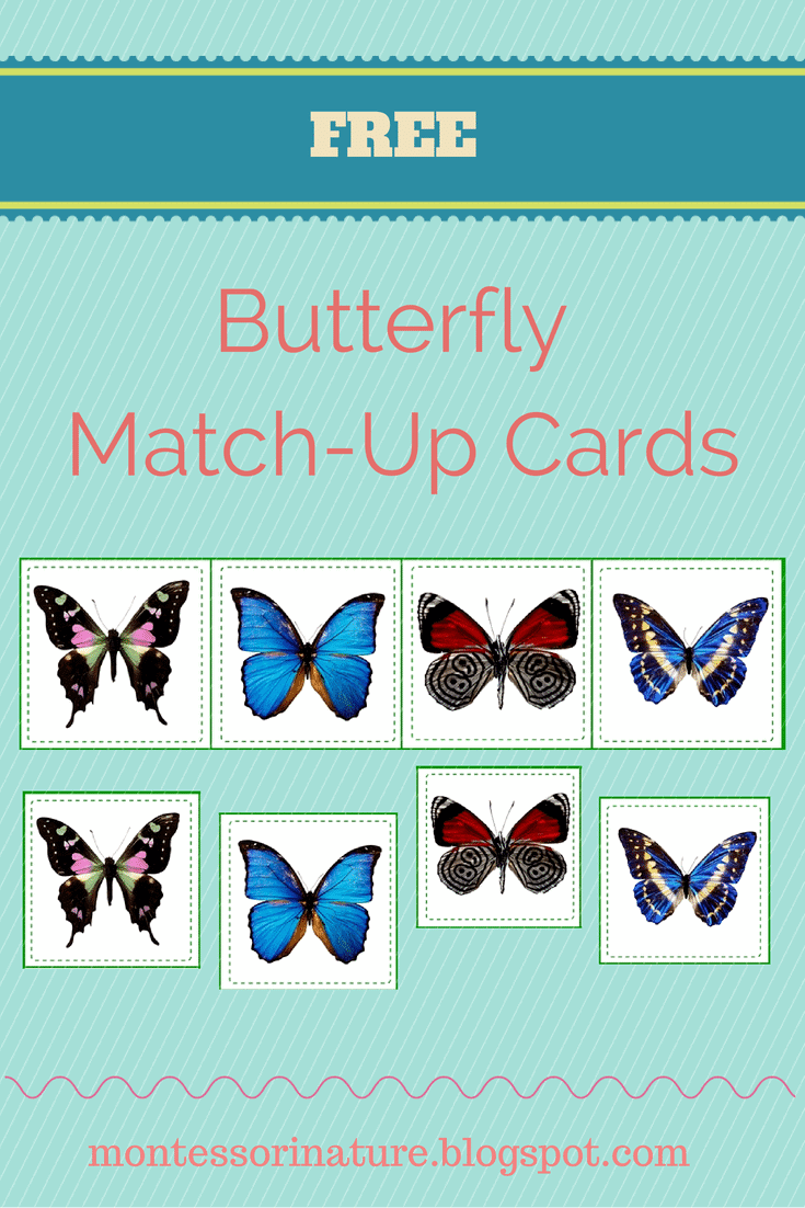 FREE Butterfly Match Up Cards