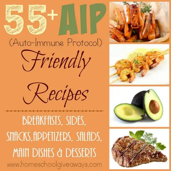 Do you have Auto-Immune Issues causing you problems? Check out these 55+ AIP Friendly Diet (Auto-Immune Protocol) recipes! :: www.homeschoolgiveaways.com