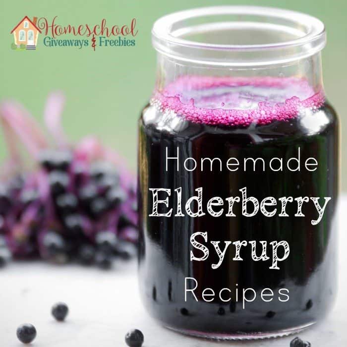 Homemade Elderberry Syrup Recipes