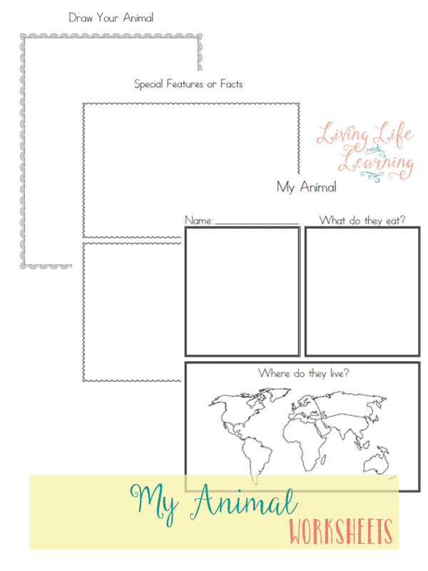 FREE Animal Report Worksheets