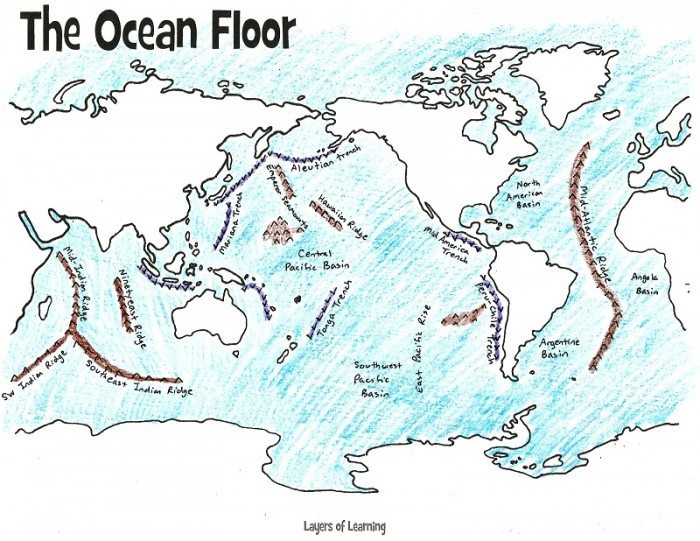 mapping-the-ocean-floor-freebie-and-unit-study