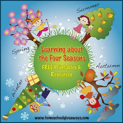 illustration of four season with funny children