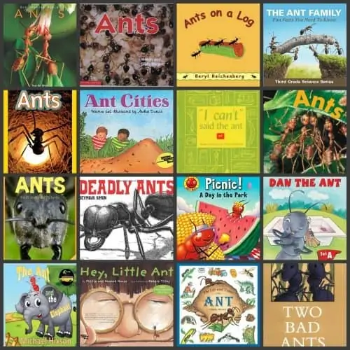 Ants Book Collage