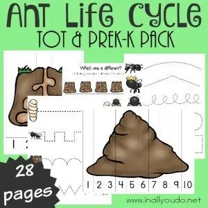 FREE Ants Tot_square