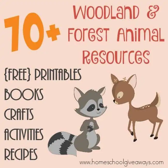 Studying the forest or woodland creatures? Check out this HUGE list of resources including printables, crafts, activities, books & recipes! :: www.homeschoolgiveaways.com