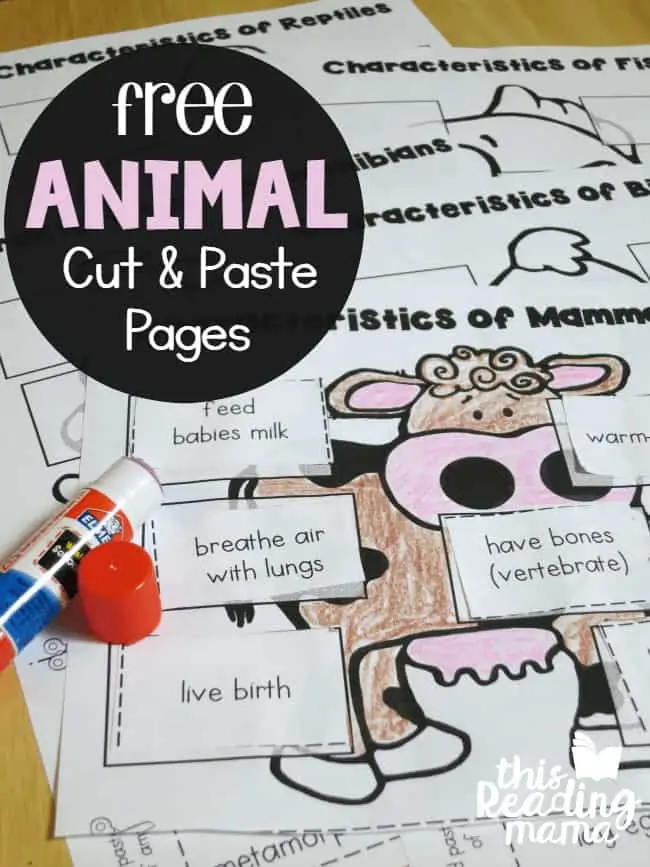 FREE-Animal-Classification-Cut-and-Paste-Pages-for-Vertebrates-This-Reading-Mama