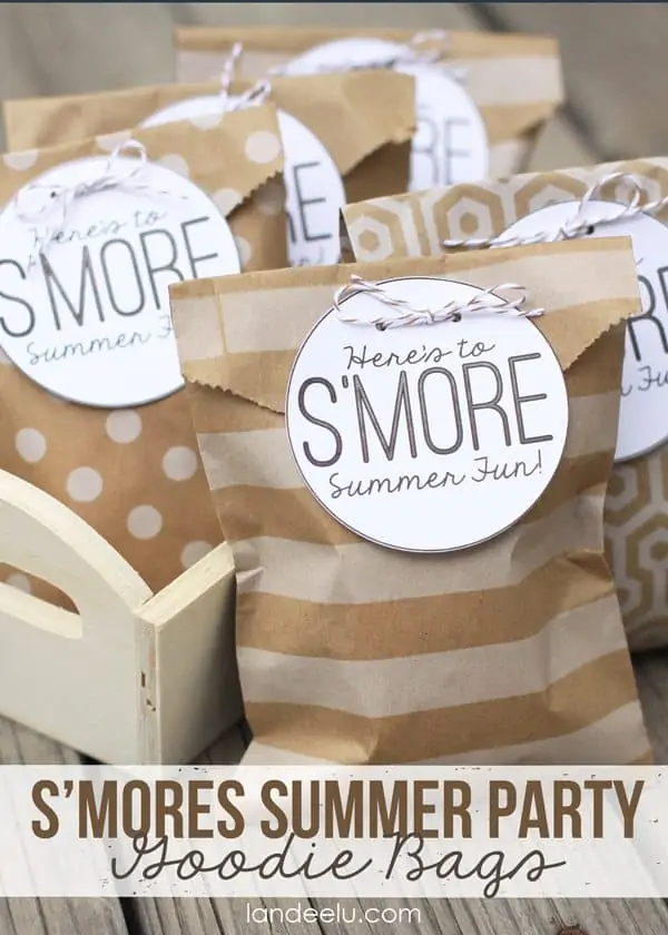 Smores-Summer-Party-Goodie-Bags
