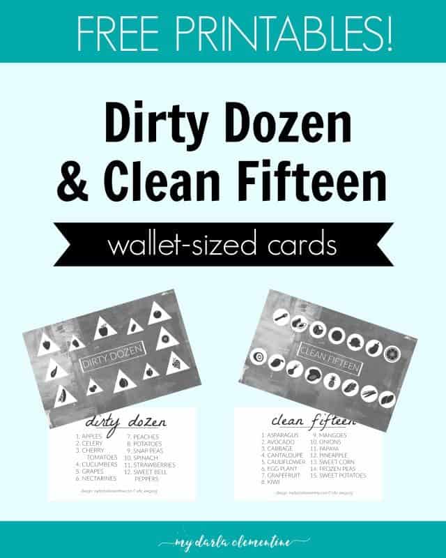 dirty-dozen-pin-e1454521721472