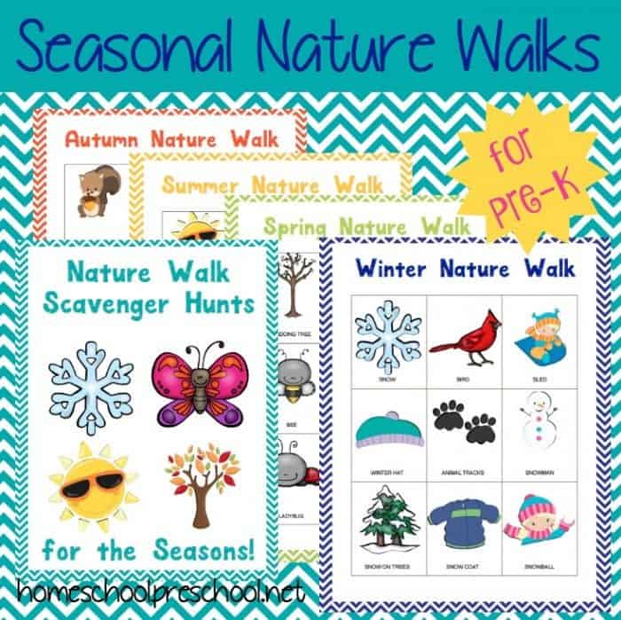 4 Free Seasonal Nature Walk Scavenger Hunts for Kids