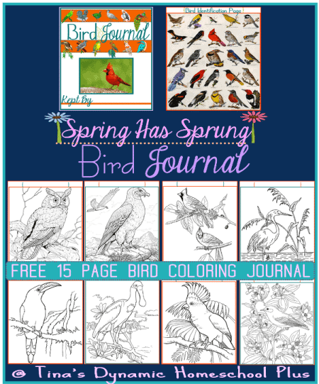 FREE Bird Journal Coloring and Identification Pages
