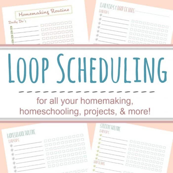 FREE Printable Loop Scheduling Form For All Your Projects