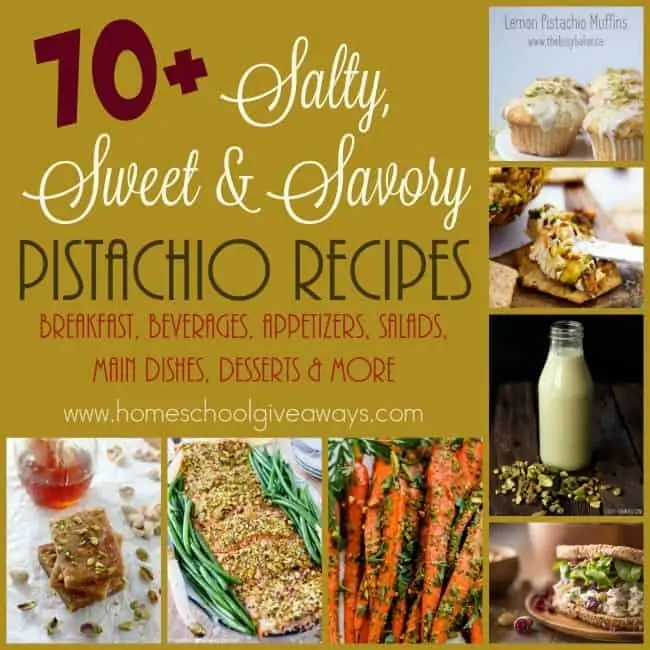 If you love pistachios, these 70+ Salty, Sweet & Savory Recipes are sure to please! From Breakfast to Dessert and everything in between. :: www.homeschoolgiveaways.com