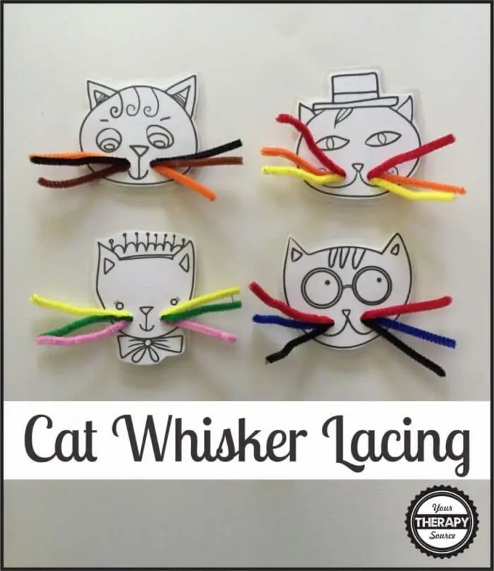 Cat-Whiskers-Lacing-886x1024