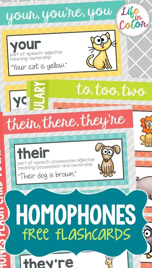 Homophone-Vocabulary-copy