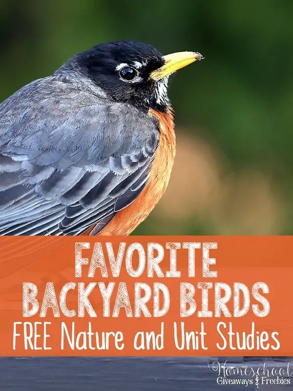 Favorite Backyard Birds FREE Nature and Unit Studies