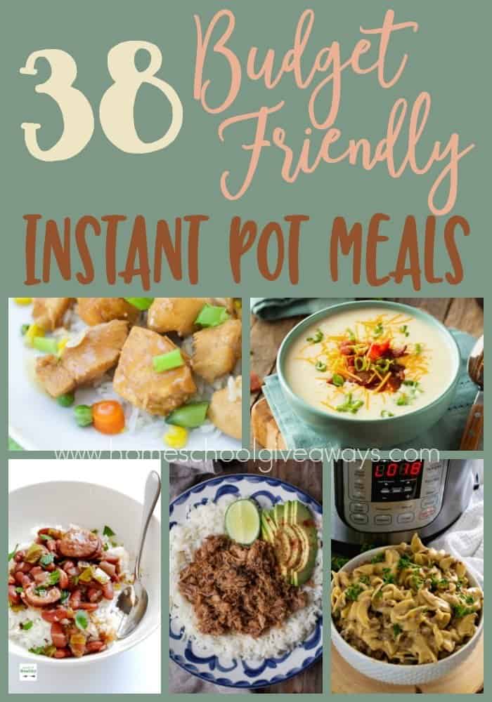 38 Budget Friendly Instant Pot Meals