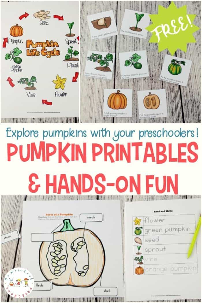 Free Life Cycle of a Pumpkin Printables