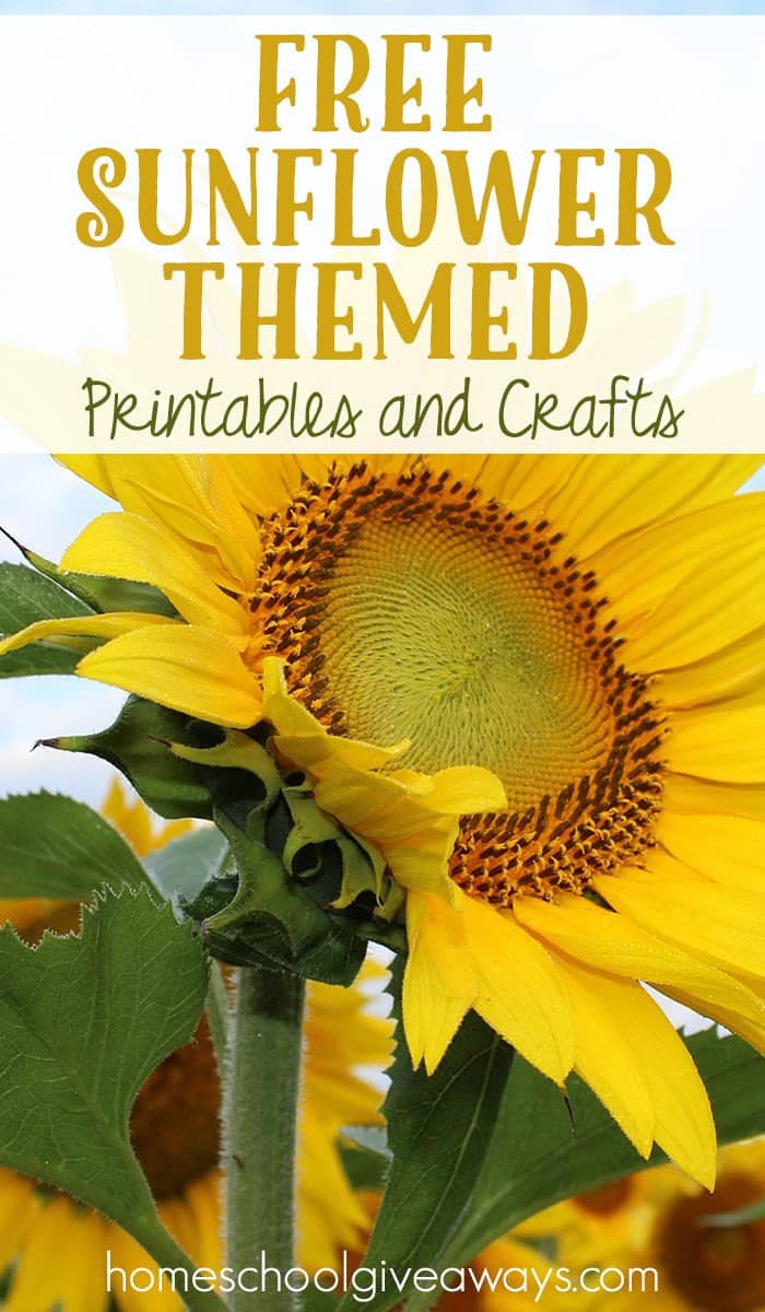 FREE Sunflower Themed Printables And Crafts Homeschool Giveaways