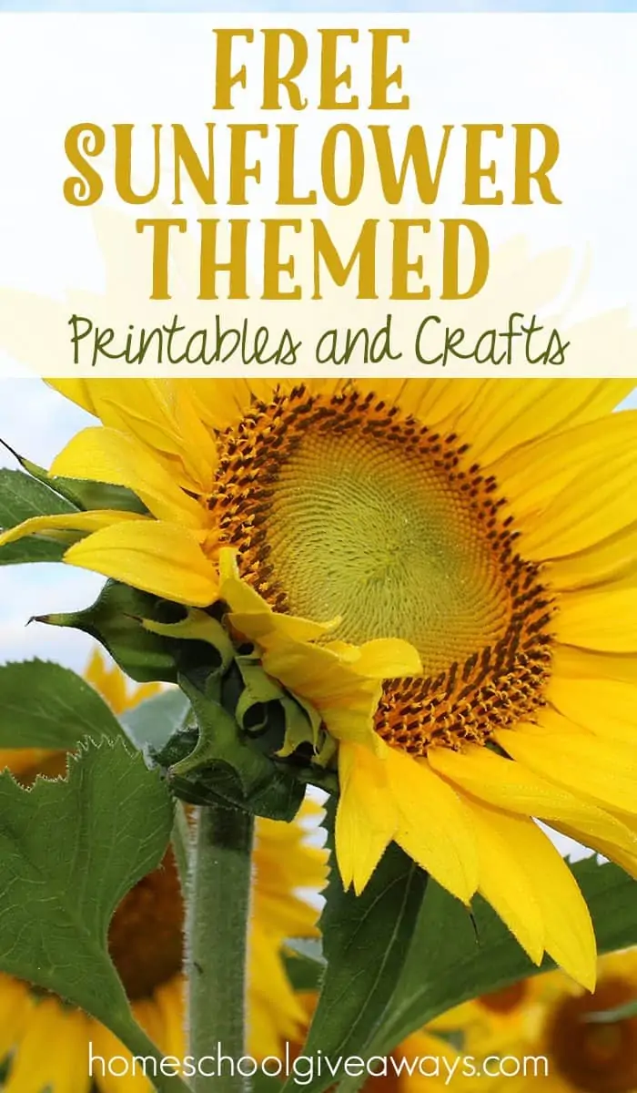FREE Sunflower Themed Printables and Crafts