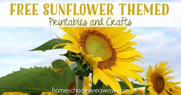 FREE Sunflower Themed Printables and Crafts FB
