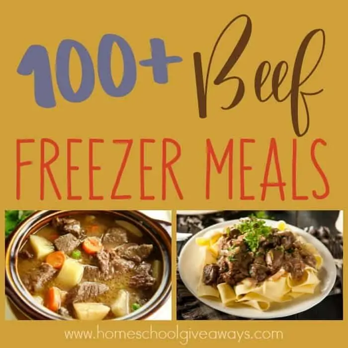 Busy nights don't have to mean eating out! Freezer meals are a great way to help you save money and eat home - even during the busy seasons of life! Check out these Beef Freezer Recipes that are sure to please! :: www.homeschoolgiveaways.com