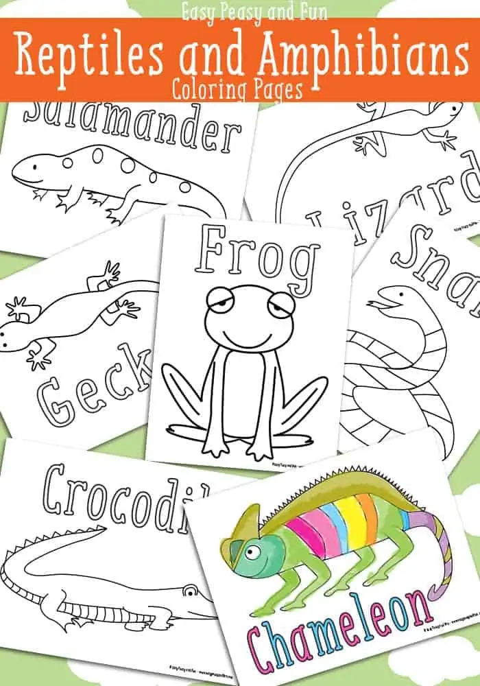 coloring pages of reptiles and amphibians