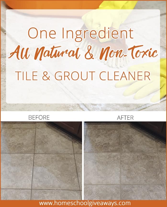 1Ingredient All Natural, NonToxic Tile & Grout Cleaner