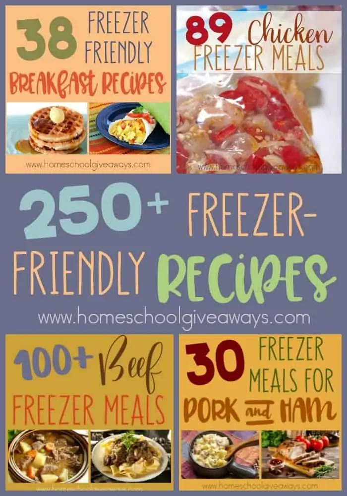 Freezer Meals are wonderful to have on hand for busy nights, during sickness, after the birth of a child or even during the holidays when family is visiting. Whatever the occasion, these 250+ Freezer-Friendly Recipes are sure to please everyone in your house! :: www.homeschoolgiveaways.com
