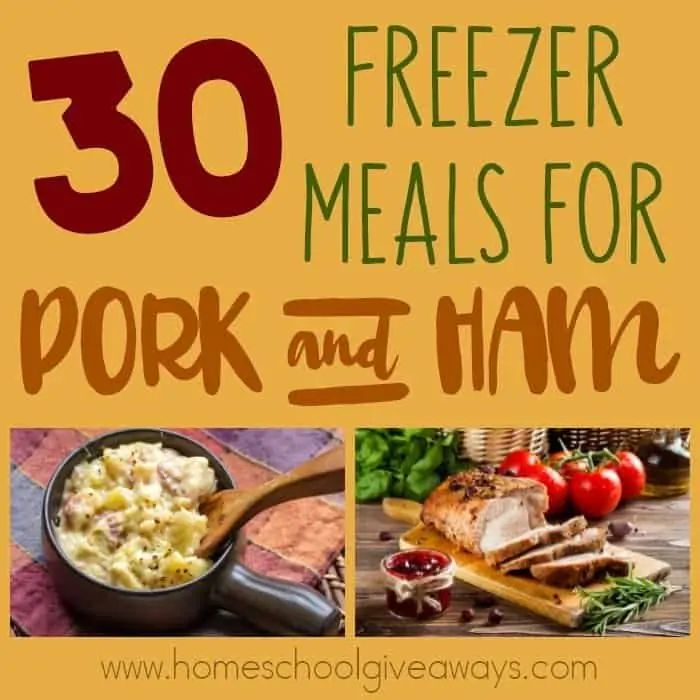 Freezer Meals are wonderful for quick and easy meals, saving money and preparing ahead of time for surgeries or other life events. Check out these delicious recipes for 30 Pork & Ham! :: www.homeschoolgiveaways.com
