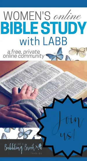 womens-online-bible-study-groups-1