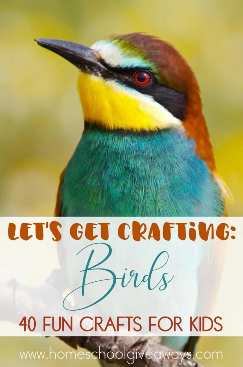 Whether you're itching for more Spring weather, studying birds or just like crafting, these crafts are sure to get your kids excited! :: www.homeschoolgiveaways.com