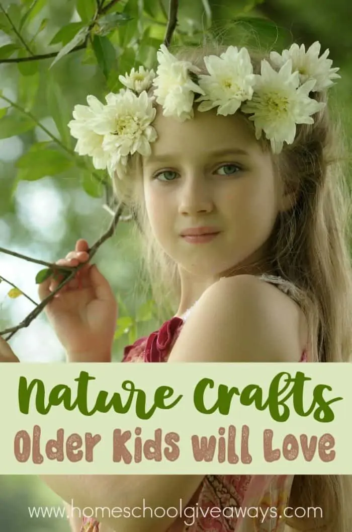 Nature Crafts_pin