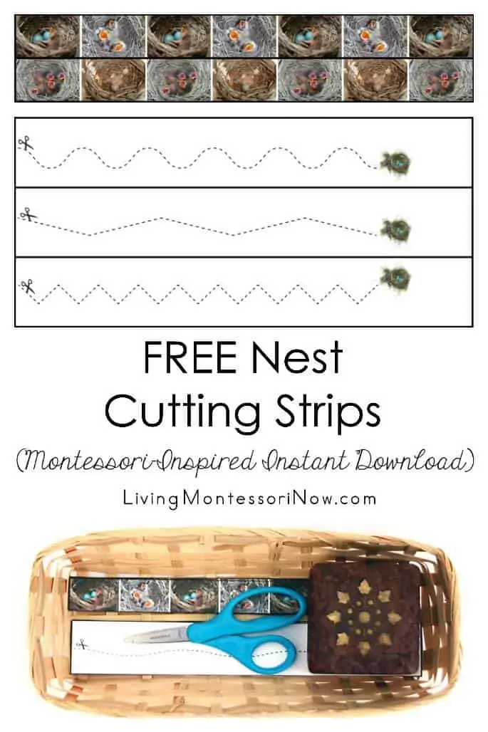 Free-Nest-Cutting-Strips-Montessori-Inspired-Instant-Download
