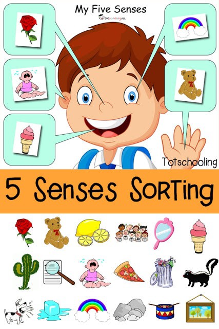 5 Senses Sorting Printable_pin