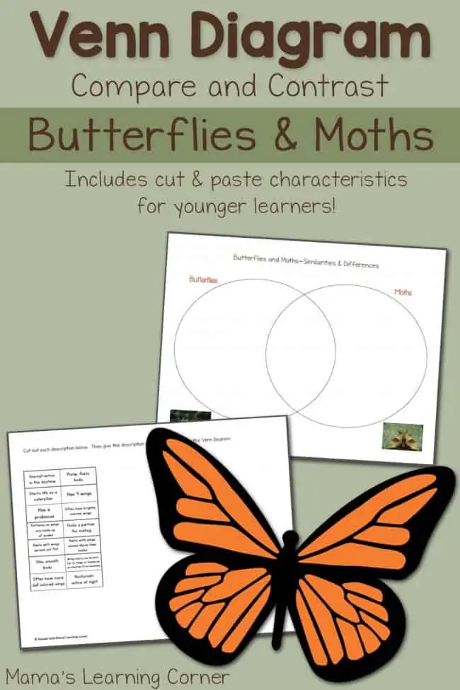 Butterflies-and-Moths-Venn-Diagram-650x975