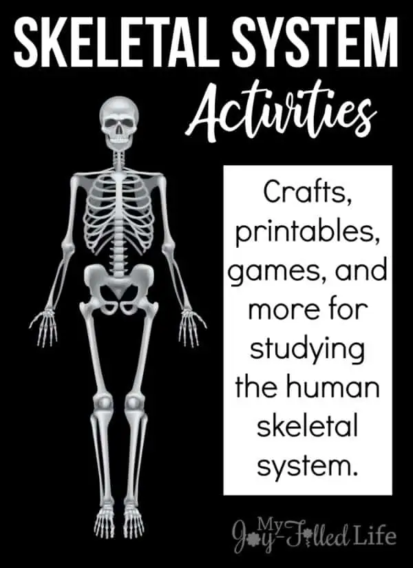 Skeleton-Activities-Pin-600x825