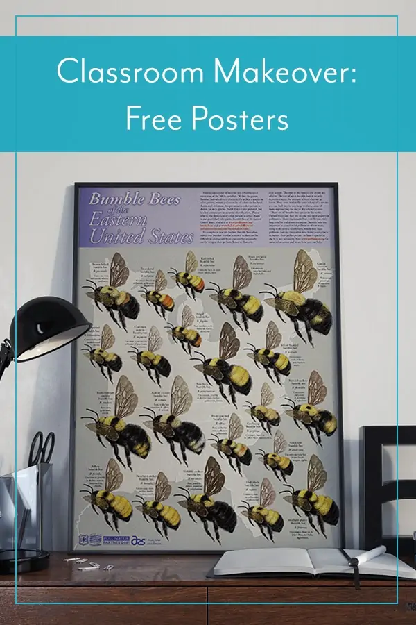 Classroom Makeover: Free Posters Delivered to You!