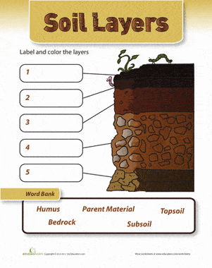 FREE Soil Layers Worksheet
