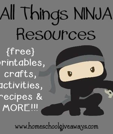 What boy doesn't want to be a Ninja at some point? Here are some fun resources for learning, crafts, sensory activities & MORE!! :: www.homeschoolgiveaways.com