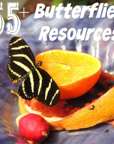 Spring is the perfect time to study butterflies. Check out this HUGE list of resources including {free} printables, crafts, activities, books & recipes!! :: www.homeschoolgiveaways.com