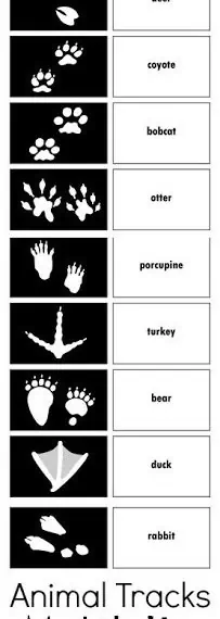 http://deceptivelyeducational.blogspot.com/2013/02/animal-tracks-match-up.html www.homeschoolgiveaways.com Learn all about tracking animals with this free printable matching game!