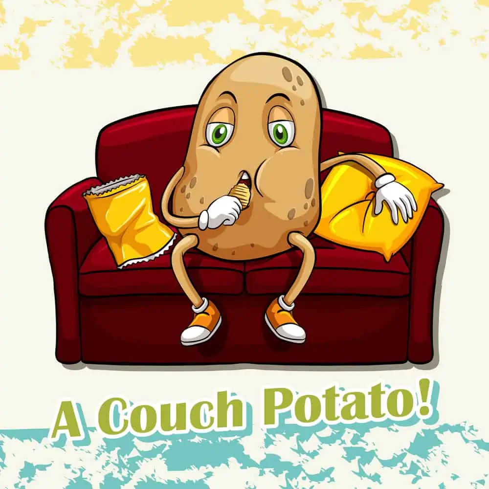 a couch potato figurative language