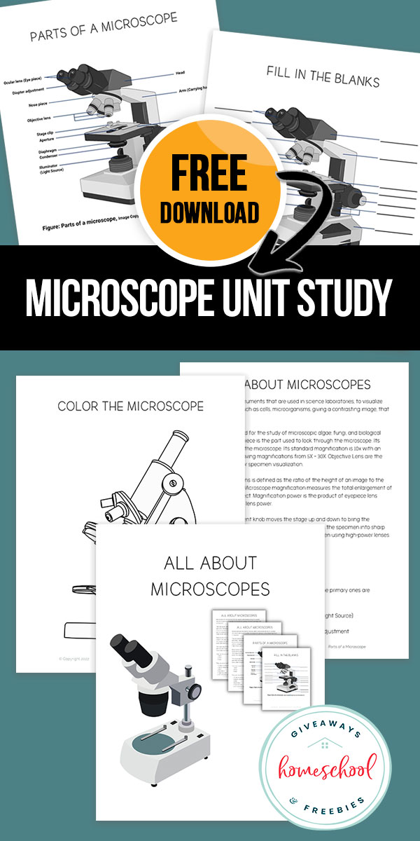 Free Download Micoscope Unit Study with image of printable worksheets of microscope labeling pages