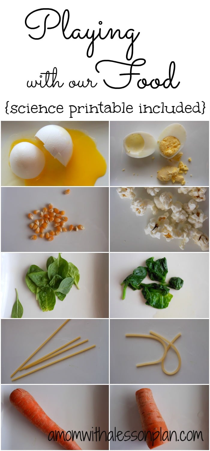 Playing With Our Food Free Science Printable Homeschool Giveaways